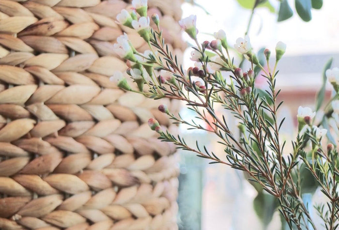 Spring Cleaning Blog by Resthouse Sleep Solutions. Spring cleaning tips.