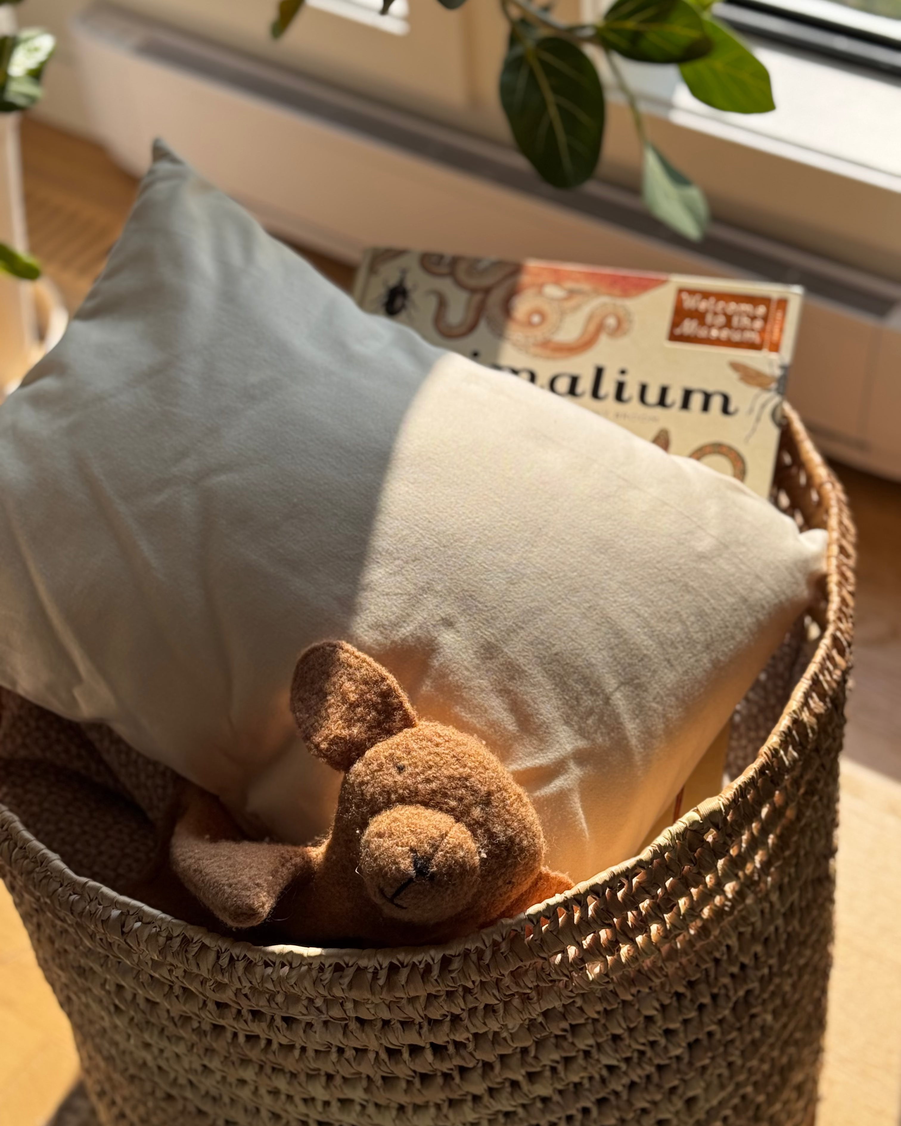 Kakun Organic Travel Pillow
