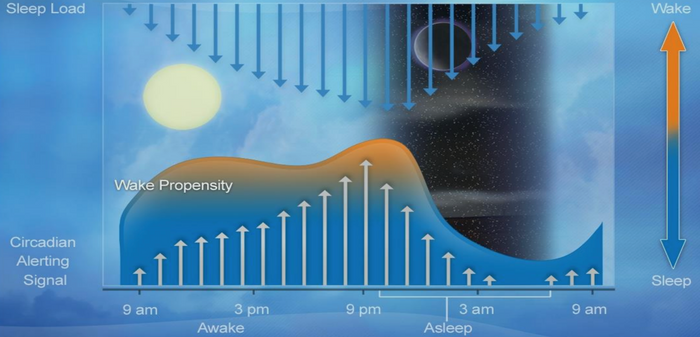 Screenshot_2026-02-04_at_12.11.02_PM