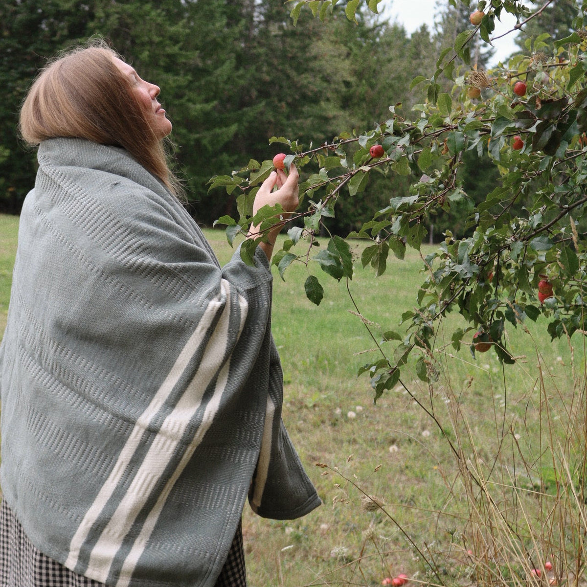 A woman with a sage green striped knit throw over her shoulders and a black-and-white gingham skirt reaches for a red apple from a tree in an outdoor grassy field with pine trees in the background.