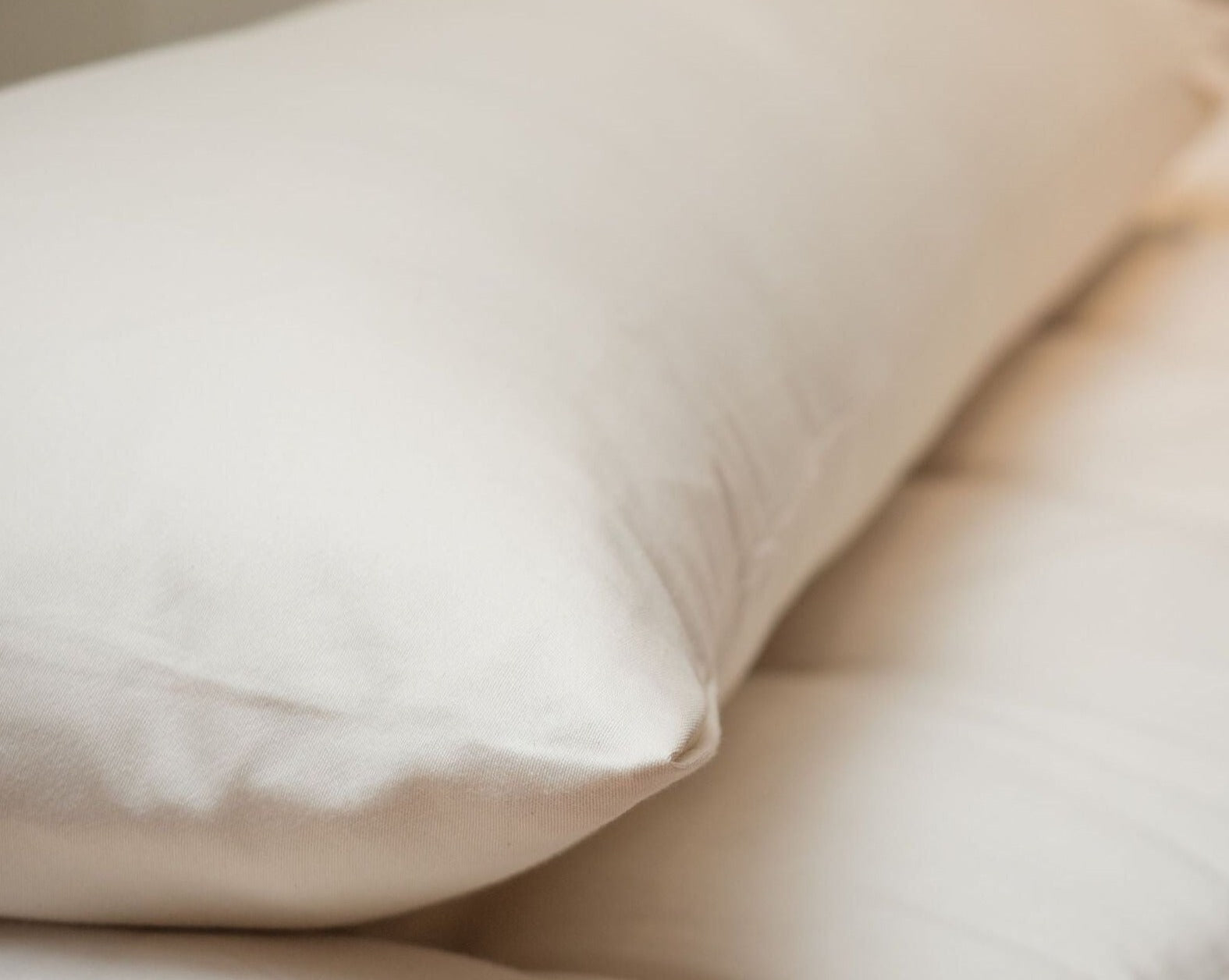 Kakun Organic Cotton Canvas Body Pillow Protector