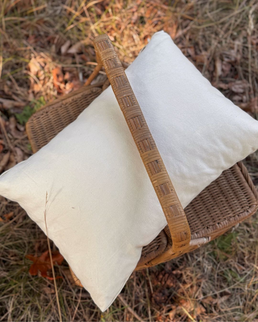 Kakun Organic Travel Pillow